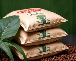 Fertilizantes orgánicos para café